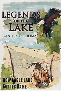 3D Cover Sample #4155